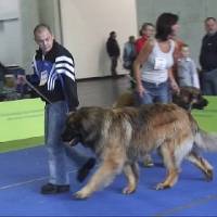 Salzburg Clubschau Mai 06 148 